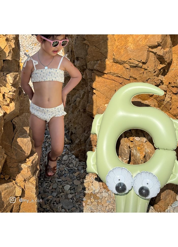 Badring Cookie the Croc