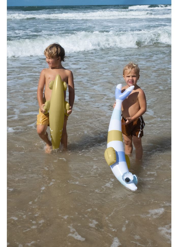 Uppblåsbar Noodle Finn the Fish 2-pack