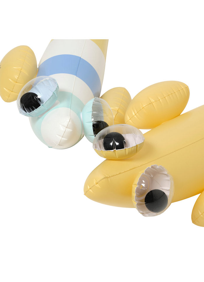 Uppblåsbar Noodle Finn the Fish 2-pack